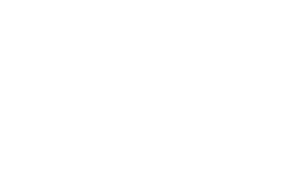 Analog Mind